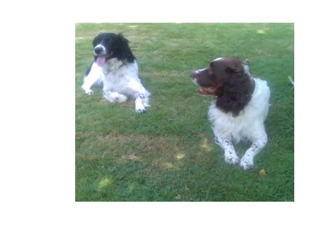 Jasper and Jerry