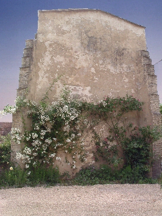 The Historic Fives Court Wall